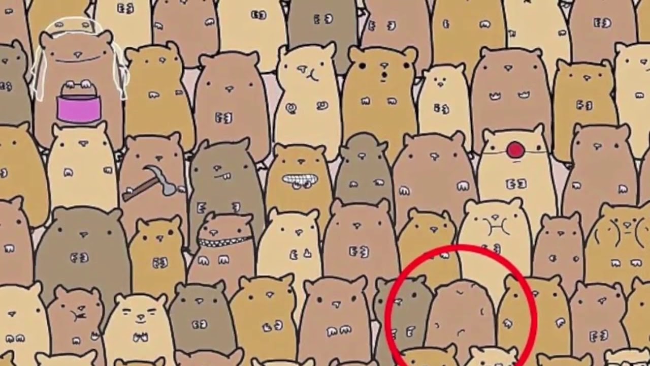 Найди кота среди сов на картинке с ответами