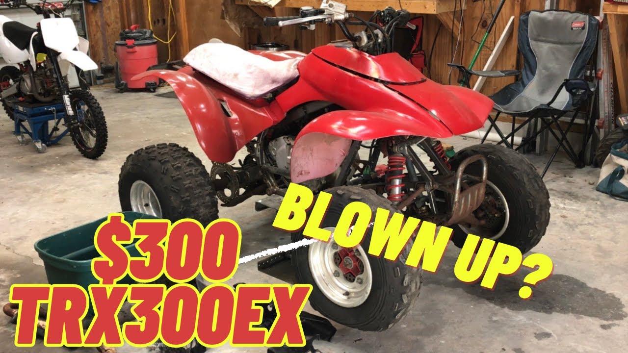 Is this $300 Honda 300ex Worth Saving ? - YouTube