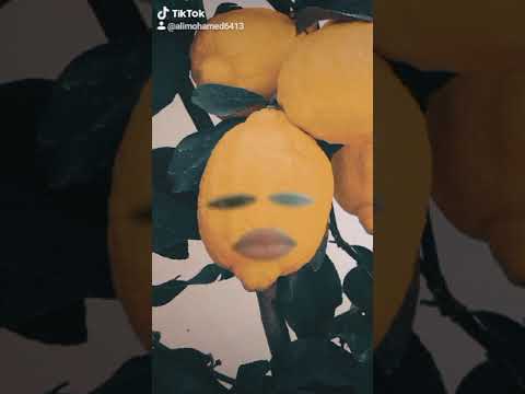 علم يابن العمدة ضايع شاري و قالوا ده بايع