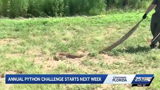 Florida's python challenge begins July 10 with $10,000 prize