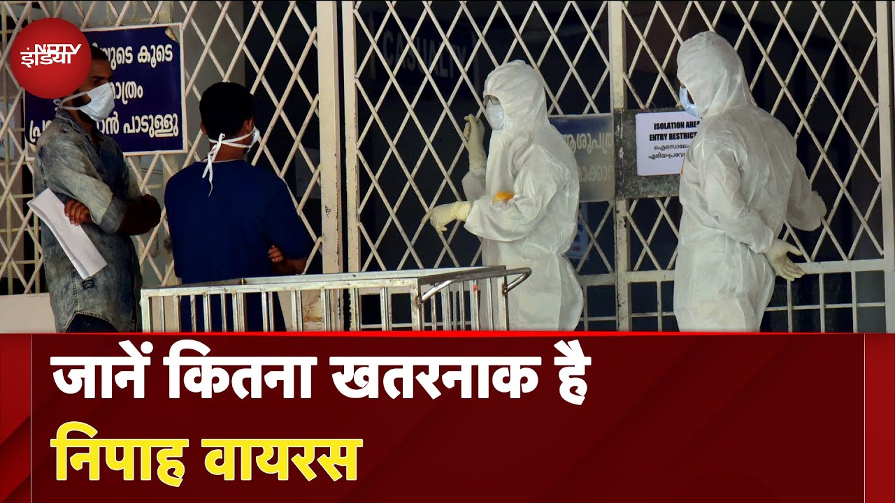 ⁣Nipah Virus | Kerala में जानलेवा हुई निपाह वायरस, स्वास्थ्य मंत्री ने मदद के लिए भेजी टीम
