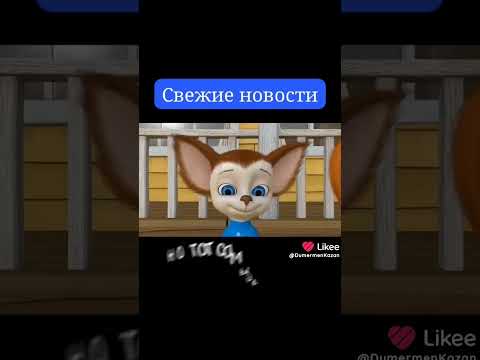 #барбоскины новости
