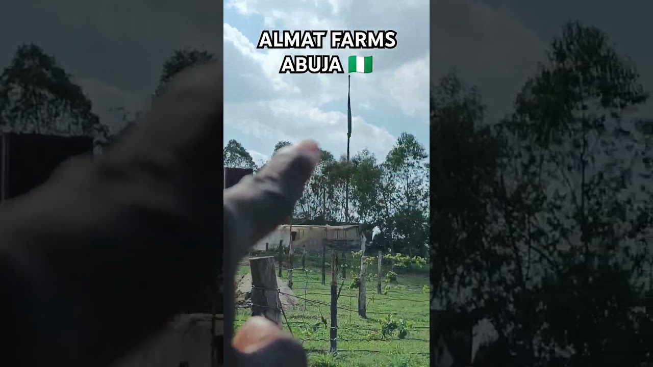 ALMAT FARMS ABUJA 🇳🇬. 