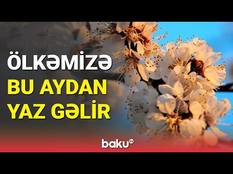 Novruz çərşənbələrinin tarixi məlum oldu