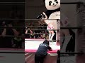 瑞希が出てきて桐生真弥にアンドレザ・ジャイアントパンダを抑えさせると鈴木志乃がバックに回ってパンダに瑞希を攻撃させる 東京女子プロレス「ALL RISE '24」2024年10月6日 #瑞希