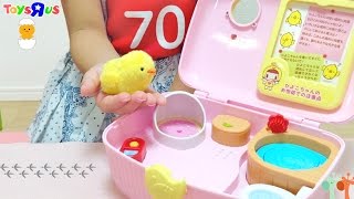 ひよこのお世話! にぎやかひよこちゃんハウス / Chick House Playset : Caring for Chicks
