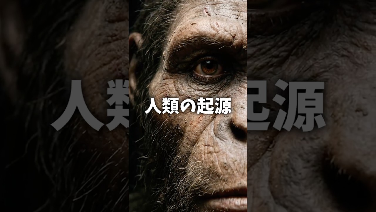 起源