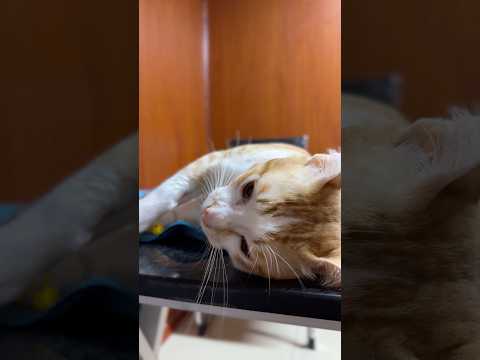 Support Tony's Recovery from Severe Injuries photo