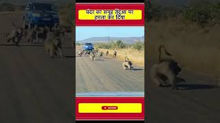 बदर क समह तदआ पर हमल कर दय