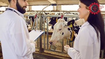 Revolutionary Technology for Livestock: Automatic Health Monitoring Systems