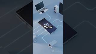 Matrix IoT Botnet DDoS Attack from Russian Lone Wolf! 2024 12 03