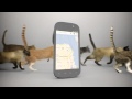 Sprint  nexus s 4g cats