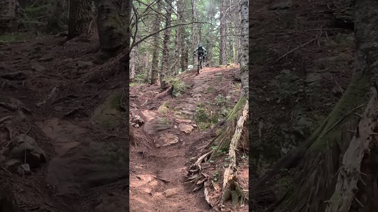 MTB Steeps in the PNW