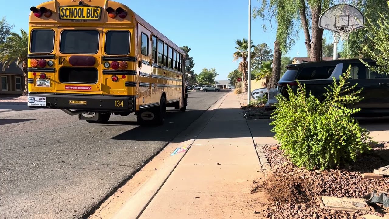 Second day back Sagan bus