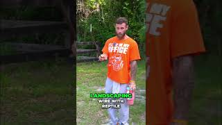 DIY Heated Trees: Simple Winter Protection Method #shorts