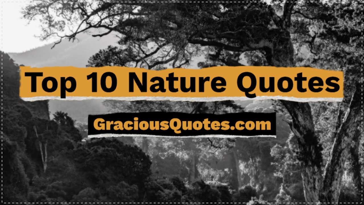 Top 10 Nature Quotes   Gracious Quotes