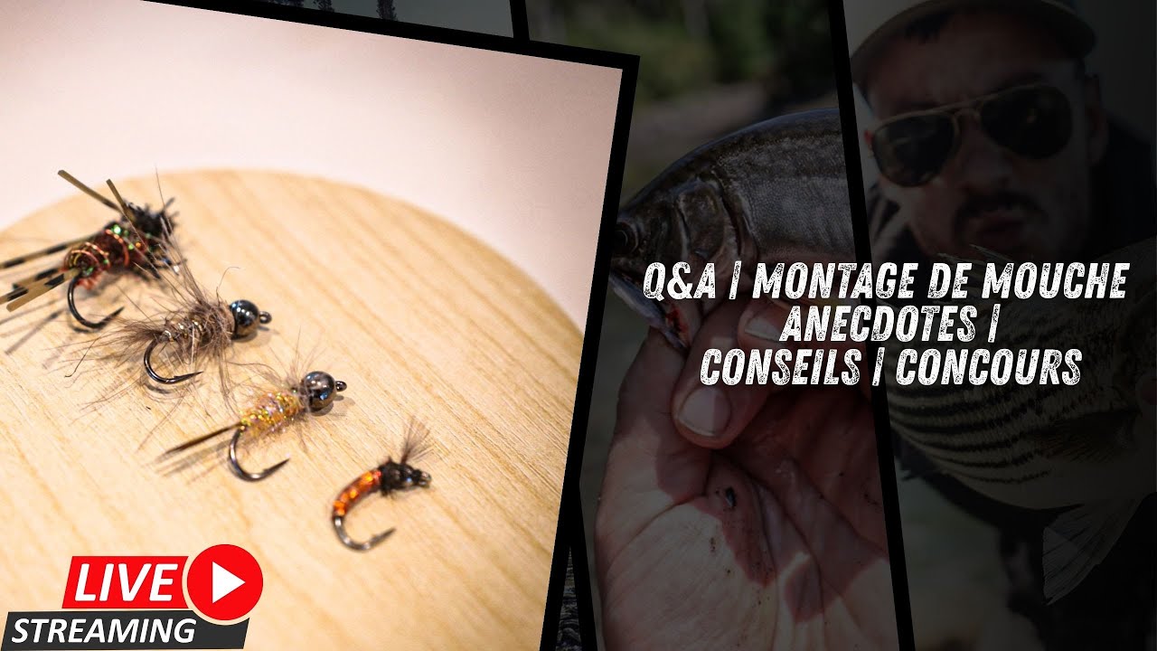 Gab Fishing LiveStream! | Montage de 4 nymphes!