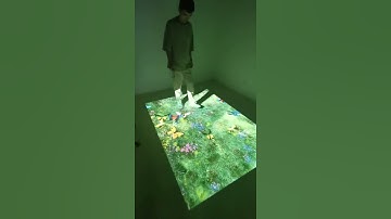 DeFi LABS Interactive floor long area support 9 projector software