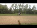 Rocky at hickstead