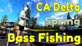 How to Crack the Code on the CA Delta | 2026 Bass Fishing