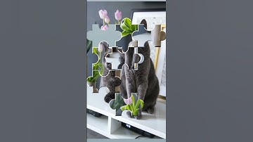 Resolve Puzzles #puzzlechallenge #shorts #game #puzzle #challenge #viralvideo #short #shortsfeed