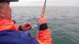 Soft Bait Basics: Casting & lure techniques, with Mark Kitteridge