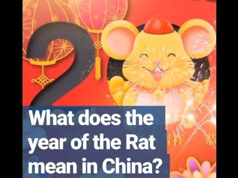 Video: Waar staat het Jaar van de Rat voor?