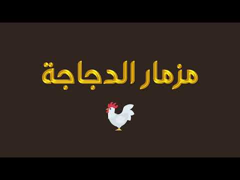 مزمار الدجاجة الجديد