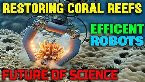 How Japan"s Robots Are Restoring Reefs In The Sea?!