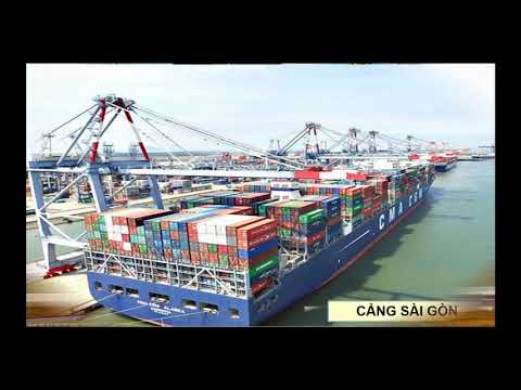Video Bài :THÀNH PHỐ HỒ CHÍ MINH | Tuần 23 | Địa lý | Lớp 4... - YouTube
