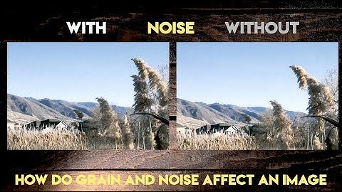 The difference between Digital Noise and Faux Grain - SOOC SoundBite SE01EP05