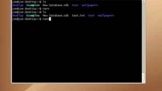 Famous Ubuntu Linux Tutorial Chapt12.Introduction to the Terminal 6 Net Worth