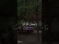 قرآن راحة نفسية ريلز اسلام تصميمي