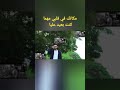 صوتك وحشني وضحكت يا حبيبي ليا Shorts امير الشريف عمرو دياب 