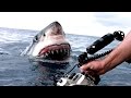 10 Craziest Videos Caught on GoPro