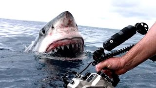 10 Shocking Videos Caught On GoPro