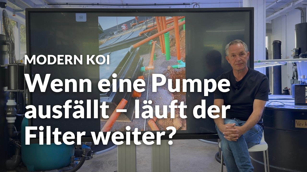 Brauchen zwei Bürstenfilter eine Verbindungsleitung? | Modern Koi Blog #8262