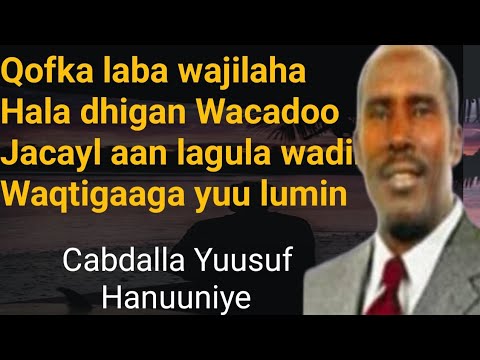 Dikda otirgan tukli mushukning yaqindan korinishi