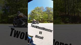 2020 Hayabusa VS 2017 GSXR 1000!
