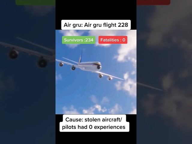 worst air crash investigation😅🤣 class=