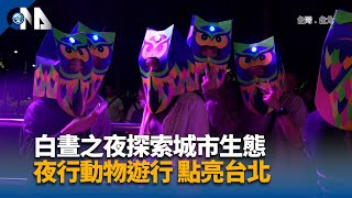 議員批白晝之夜負評連連 北市府：將檢討精進