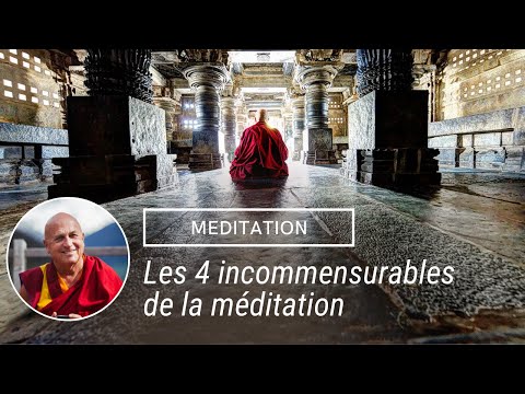 Chapitre 3 - Les 4 incommensurables