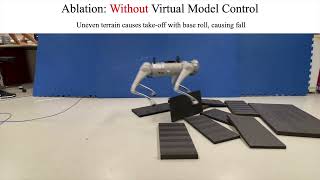 Quadruped-Frog Rapid Online Optimization of Continuous Quadruped Jumping