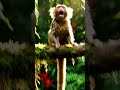 baby #laughing #baby #sound #funny #kids #experiment monkey video