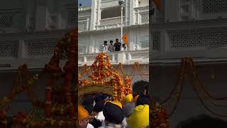 #shortsfeed #goldentemple #trending #shorts #toptags #videoftheday #videostar #darbarsahib #gururand