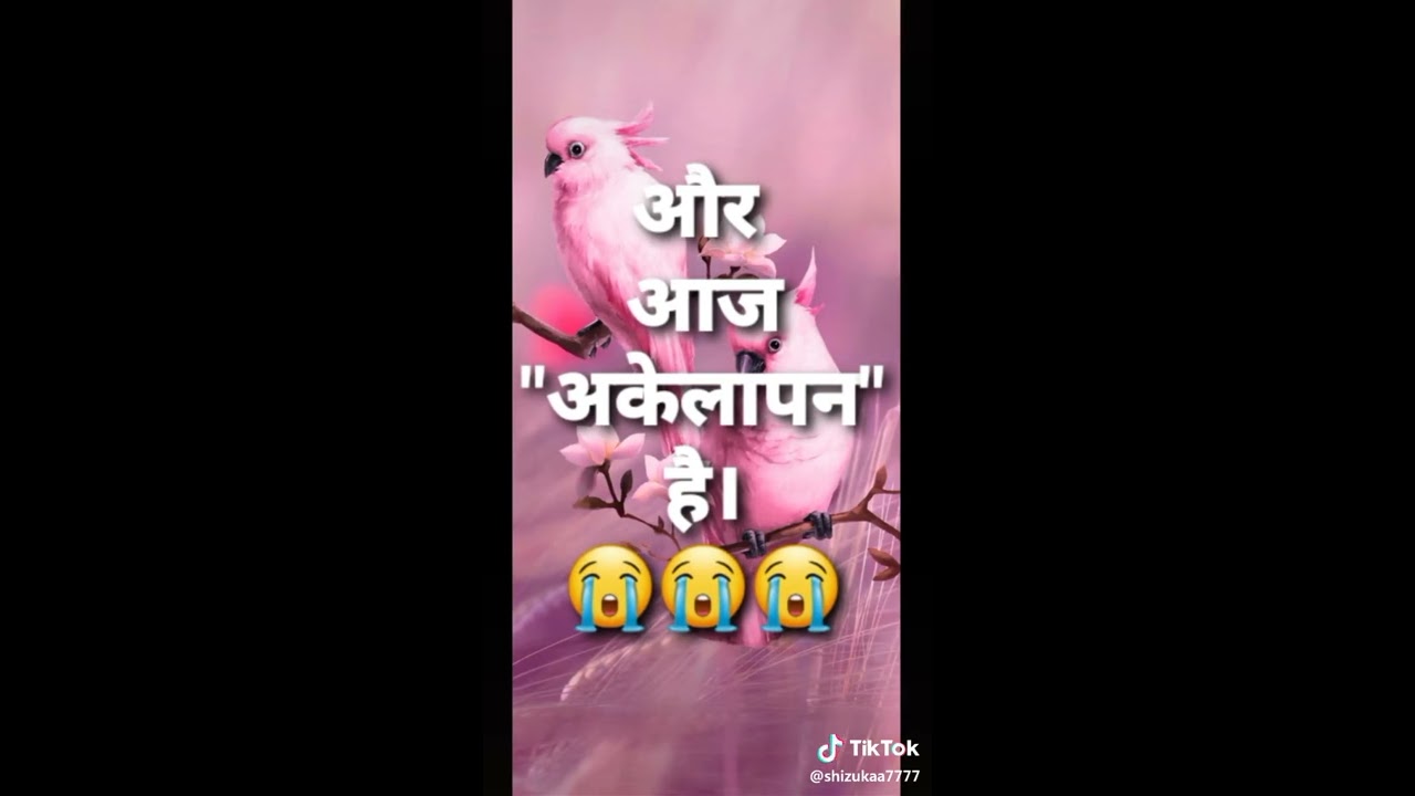December 8 2019 YouTube December 8 2019 YouTube