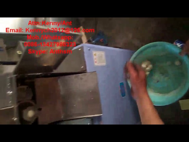 DT-200T paste dough cutting forming machine, dough cutter former