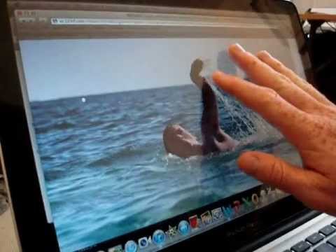 Sean Conway - Swimming Land's End to John O'Groats