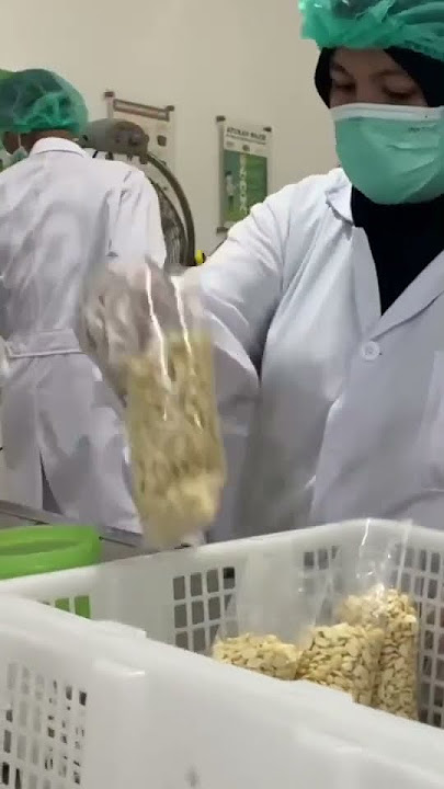 Proses Pembuatan Tempe ekspor | Tempe Higienis | Tempe tinggi Protein