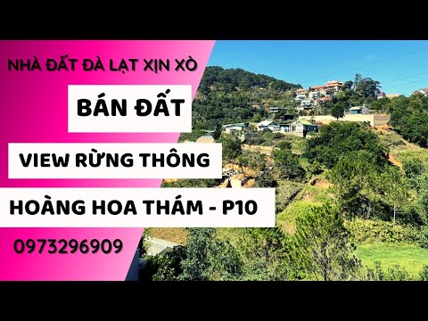Video Lô Đất 520m2 View Rừng Thông Đẹp Hoàng Hoa Thám P10 Đà... - youtube